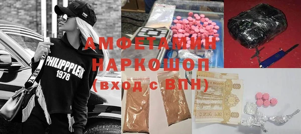 прущие грибы Алзамай
