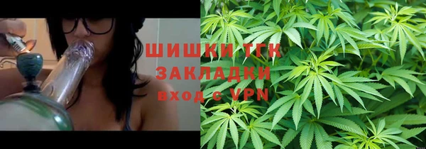 тгк Алексин