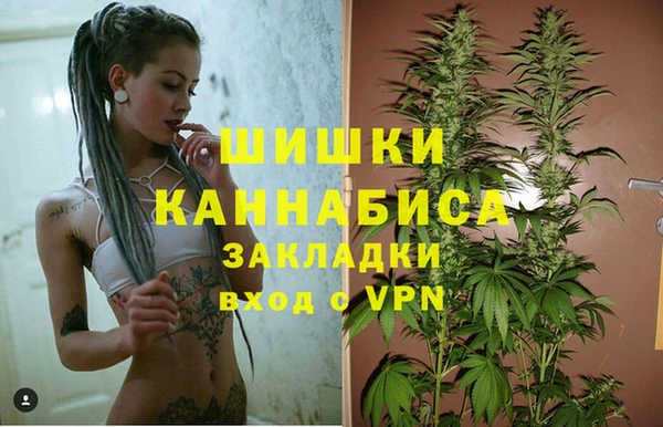 прущие грибы Алзамай