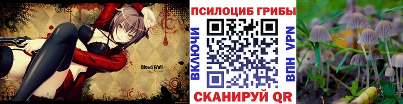 Псилоцибиновые грибы прущие грибы  Анадырь 